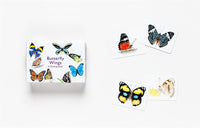 Butterfly Wings