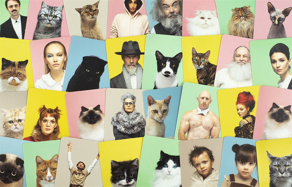 Do You Look Like Your Cat?