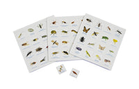 Bug Bingo