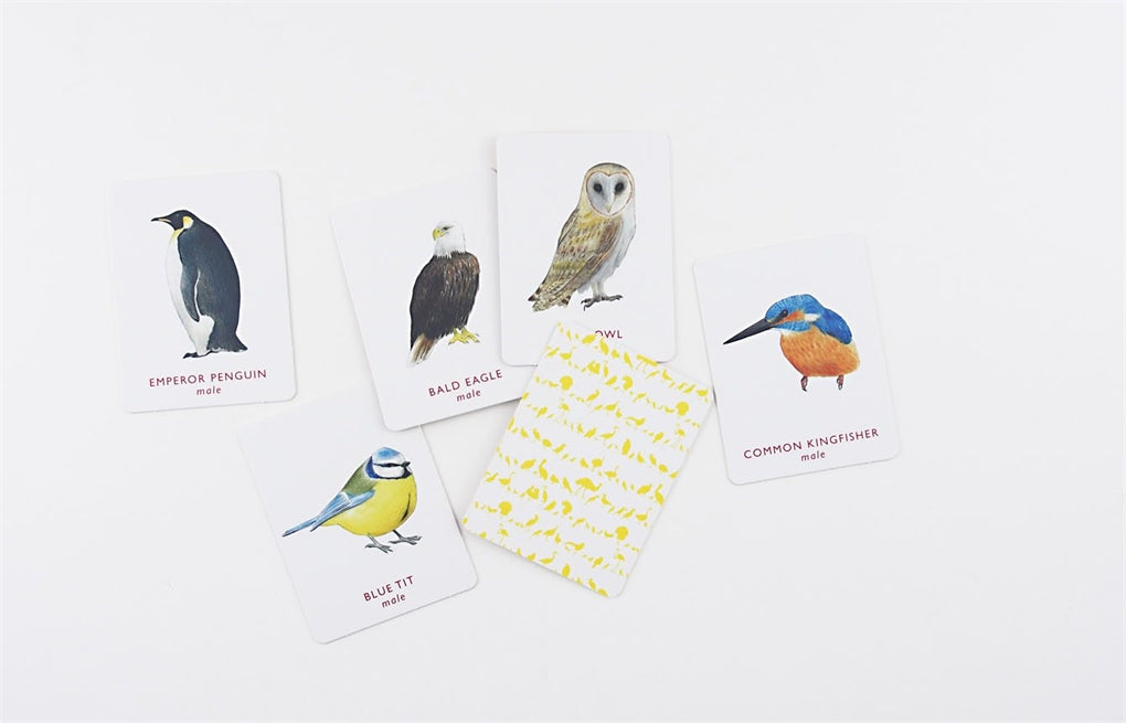 Match a Pair of Birds
