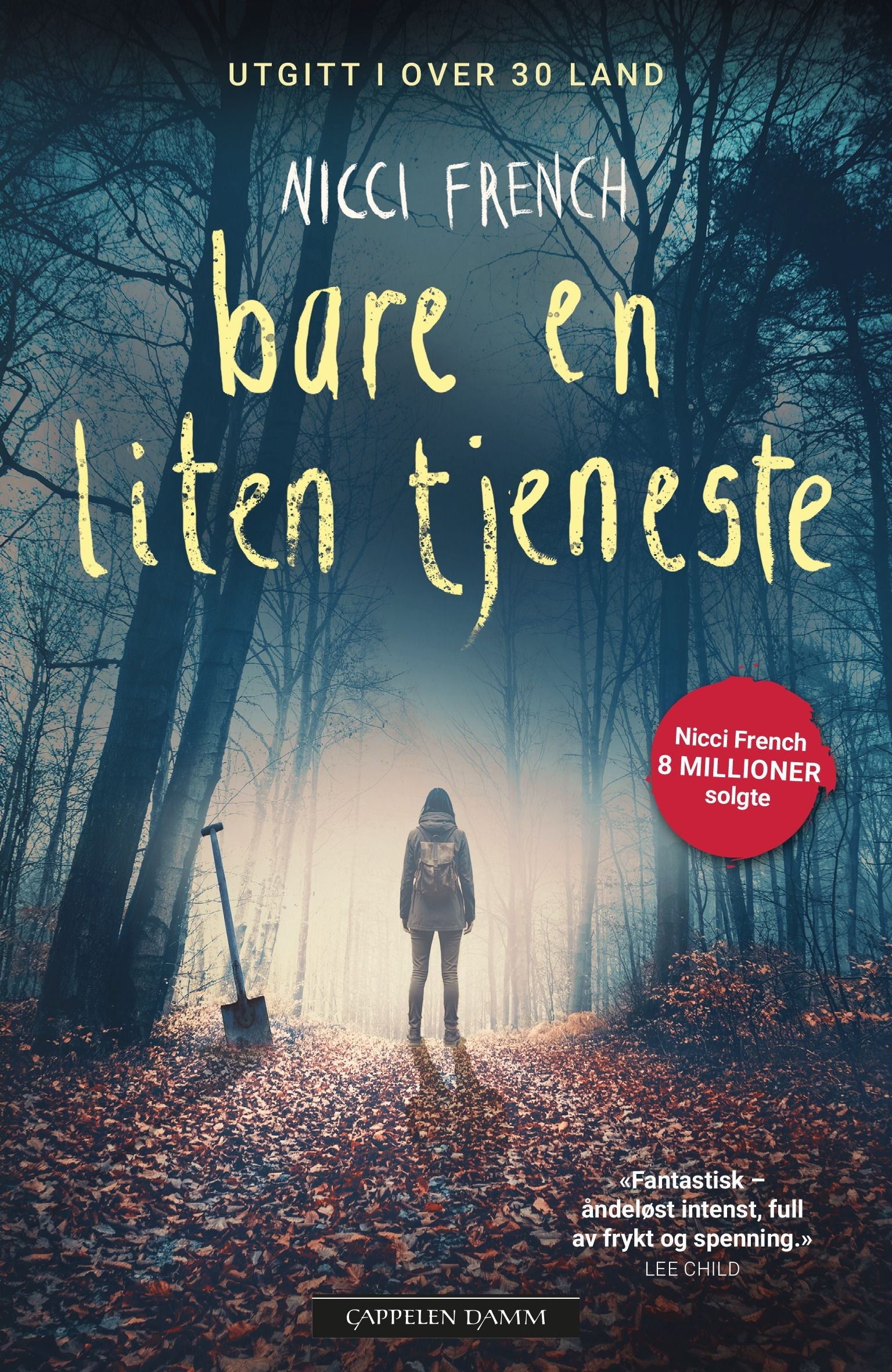 Bare en liten tjeneste