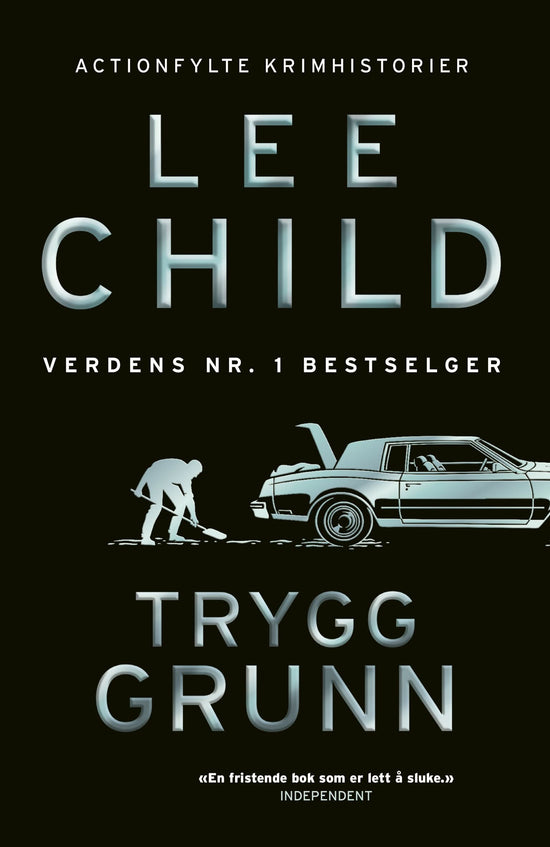 Trygg grunn - og andre historier