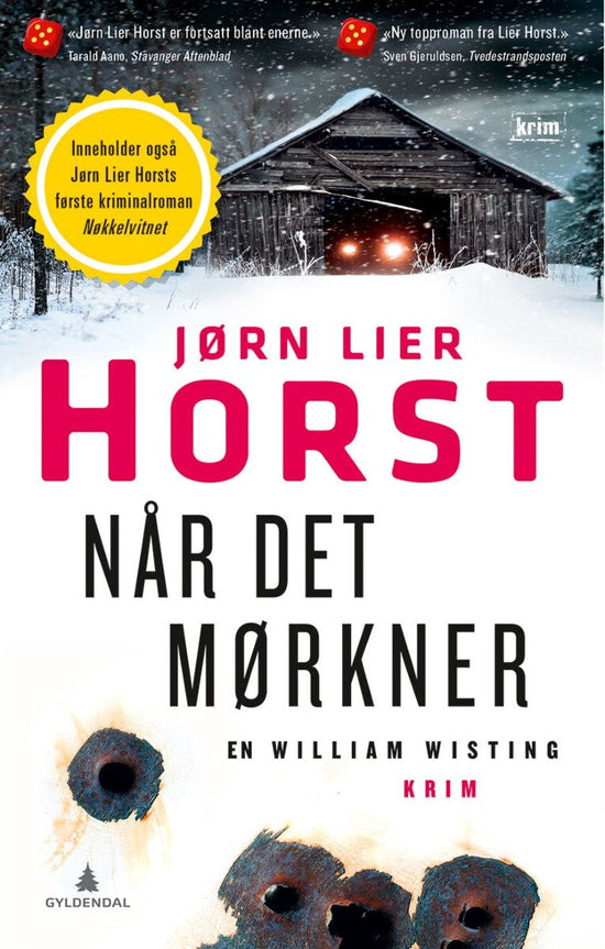 Når det mørkner : Nøkkelvitnet
