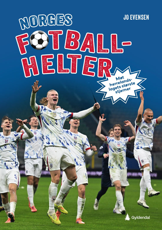 Norges fotballhelter