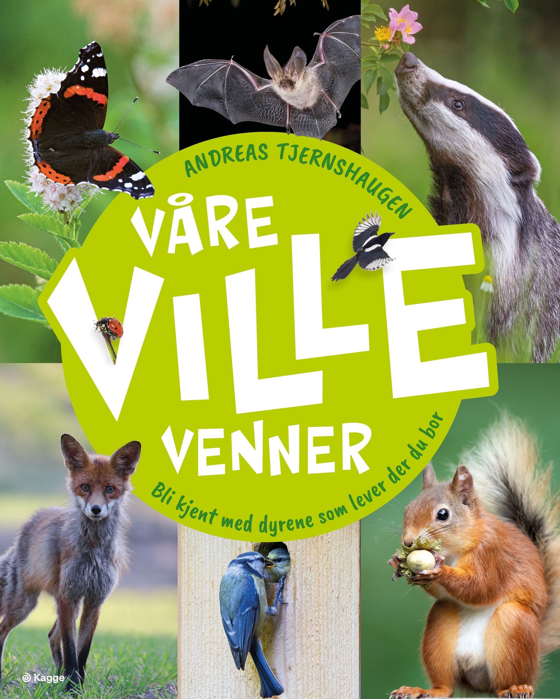 Våre ville venner - bli kjent med dyrene som lever der du bor