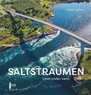 Saltstraumen
