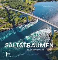 Saltstraumen