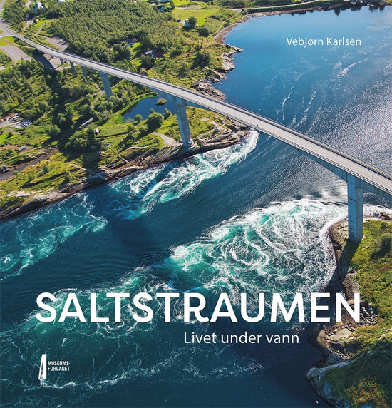 Saltstraumen