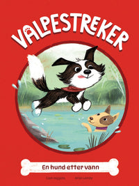 En hund etter vann