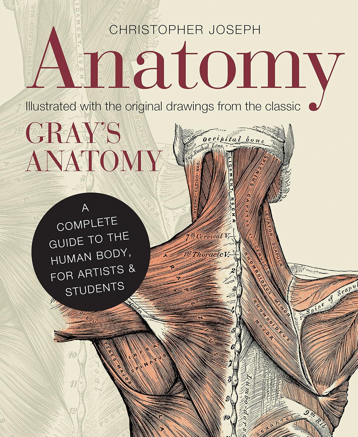 Anatomy: A Complete Guide to the Human Body