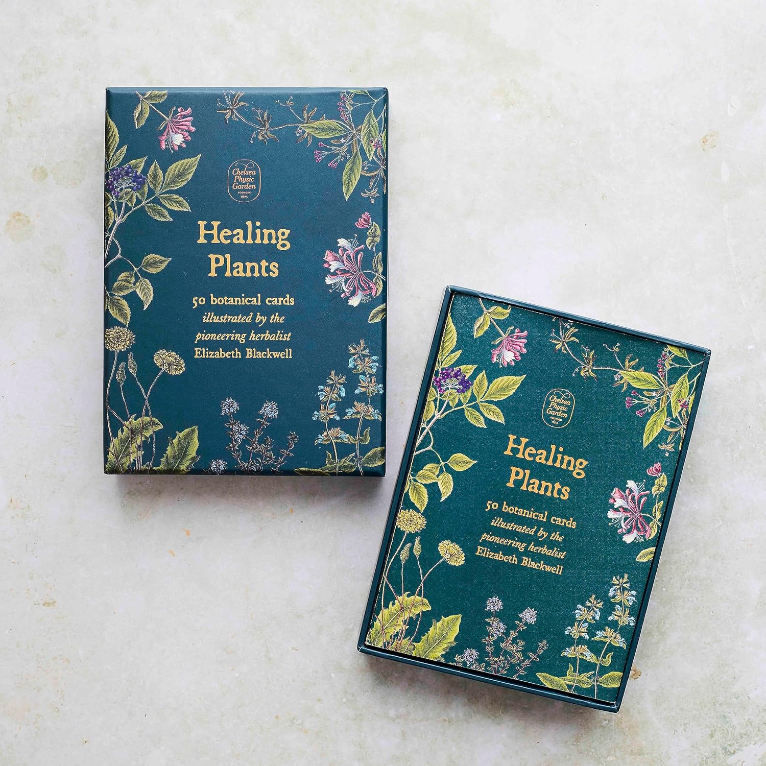 Healing Plants: 50 botanical cards illustrated by the pioneering herbalist Elizabeth Blackwell