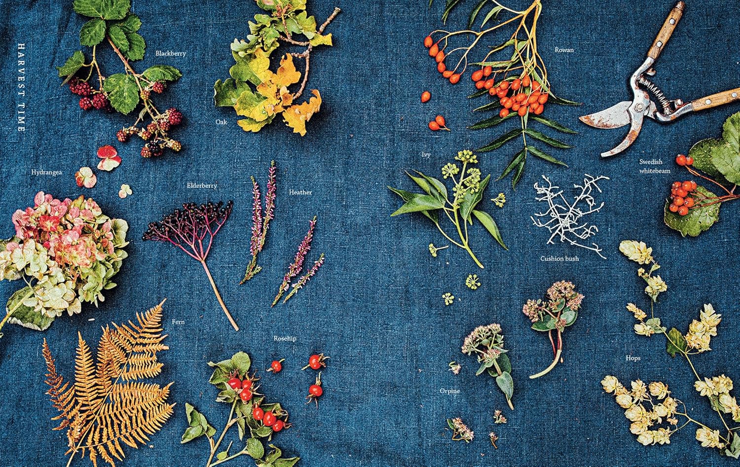 A Year of Flower Wreaths: Simple Projects for All Seasons