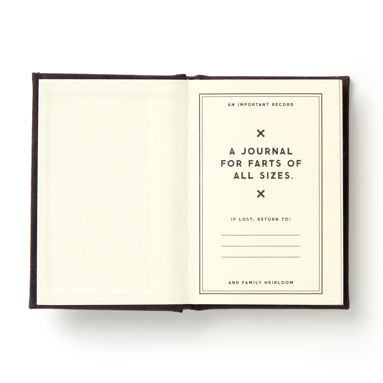 A Tiny Fart Diary